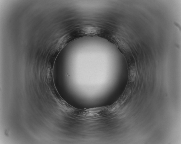 X0000098040379200804071447