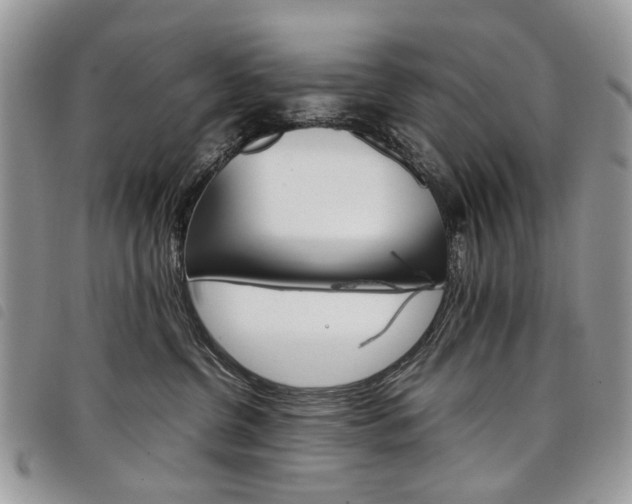 X0000098040380200804071448