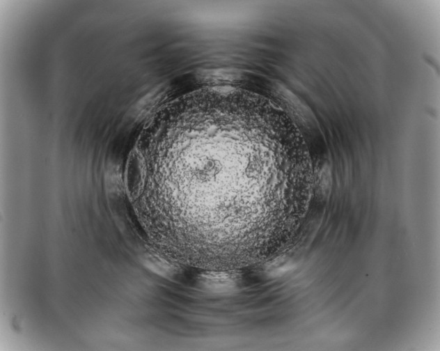 X0000098040381200804071448