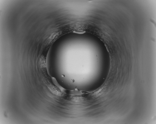 X0000098040384200804071448