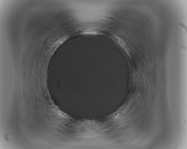 X0000098040385200804071447