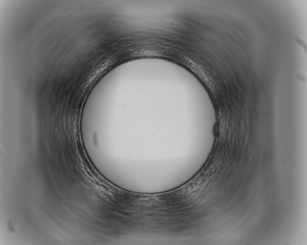 X0000098040386200804071447