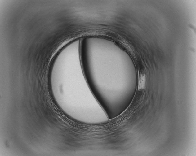 X0000098040387200804071447