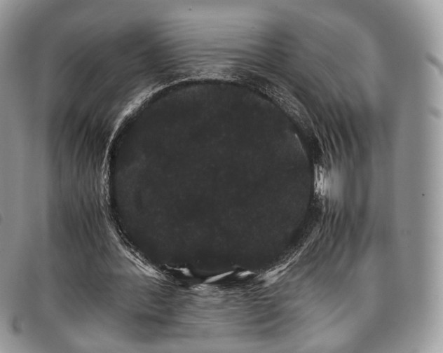 X0000098040388200804071447