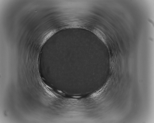 X0000098040389200804071447