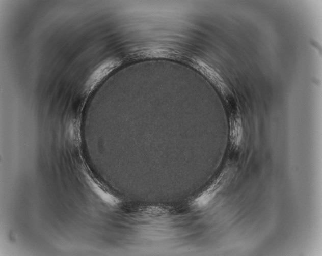 X0000098040390200804071447