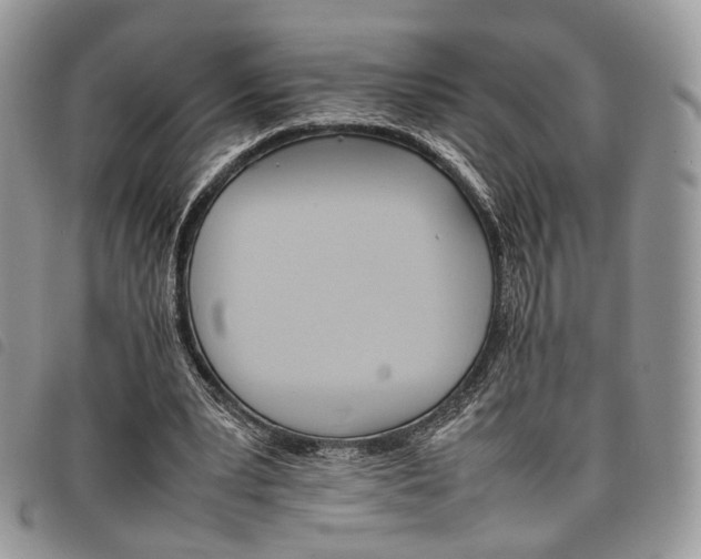 X0000098040391200804071447