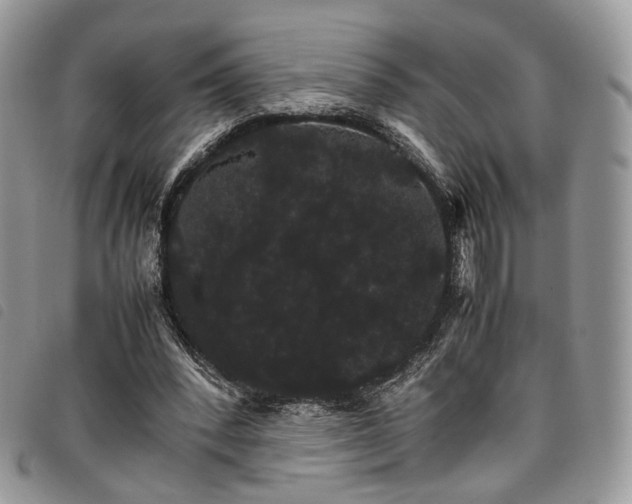 X0000098040392200804071447