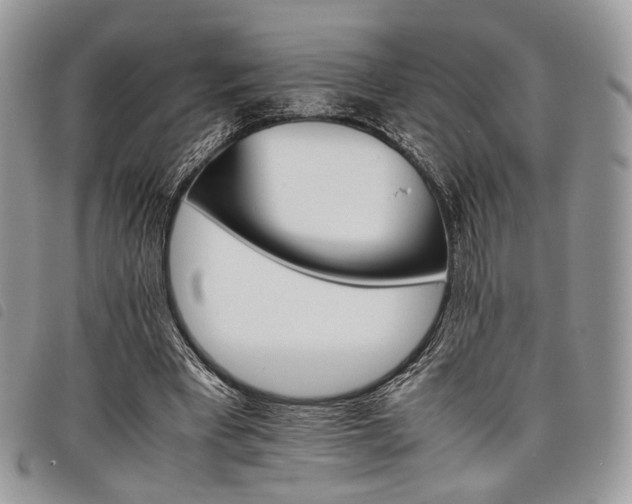 X0000098040393200804071447
