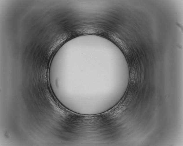 X0000098040394200804071447