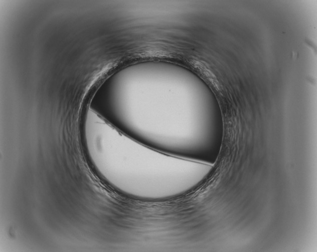X0000098040395200804071447