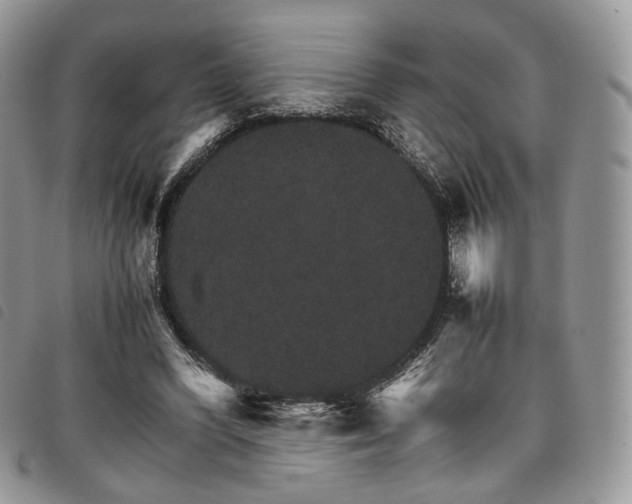 X0000098040396200804071447