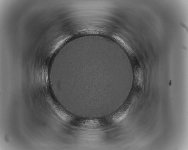 X0000098040398200804071447
