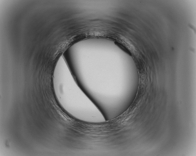 X0000098040401200804071447