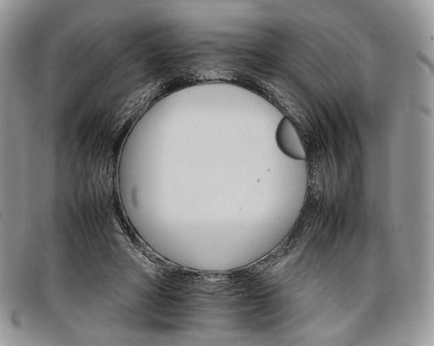 X0000098040402200804071447
