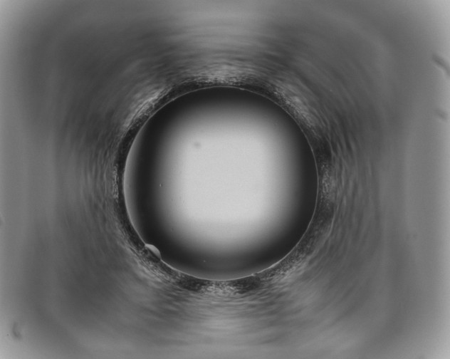 X0000098040403200804071446