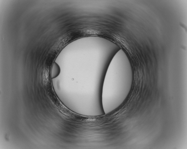 X0000098040406200804071446