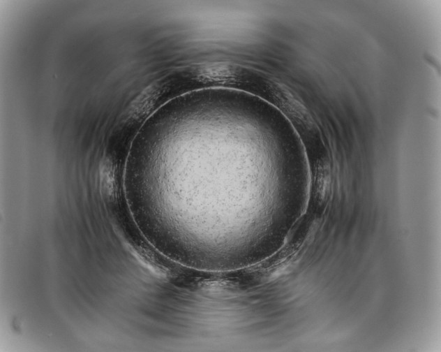 X0000098040408200804071446