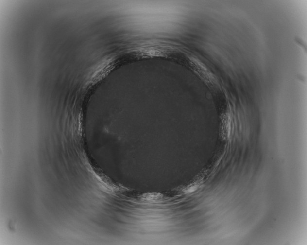 X0000098040410200804071446
