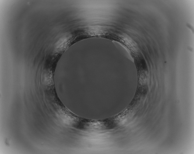 X0000098040411200804071446