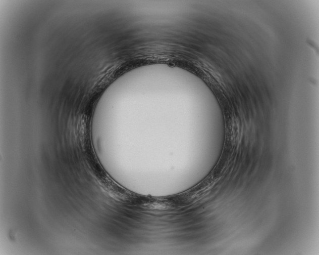 X0000098040412200804071446