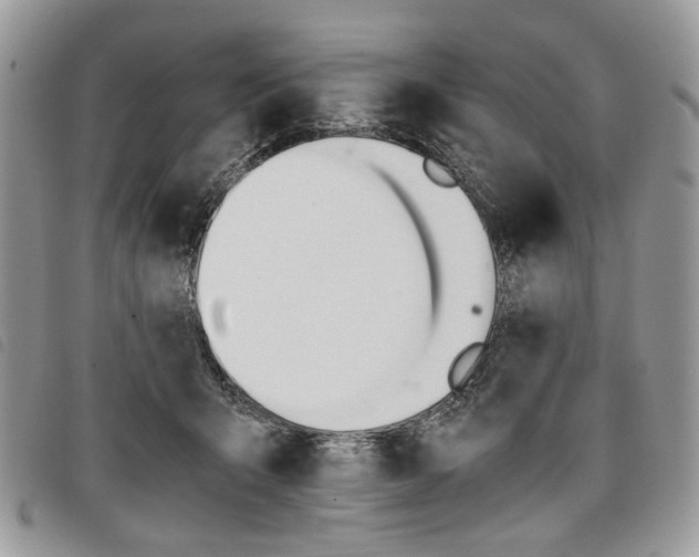 X0000098040415200804071446