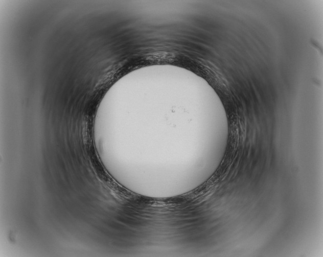 X0000098040416200804071446