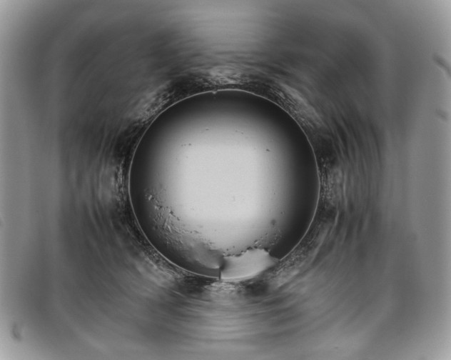 X0000098040418200804071446
