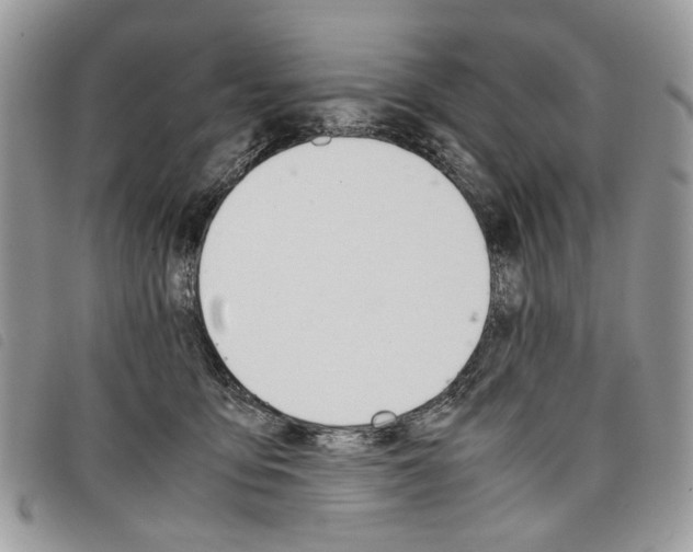 X0000098040419200804071446