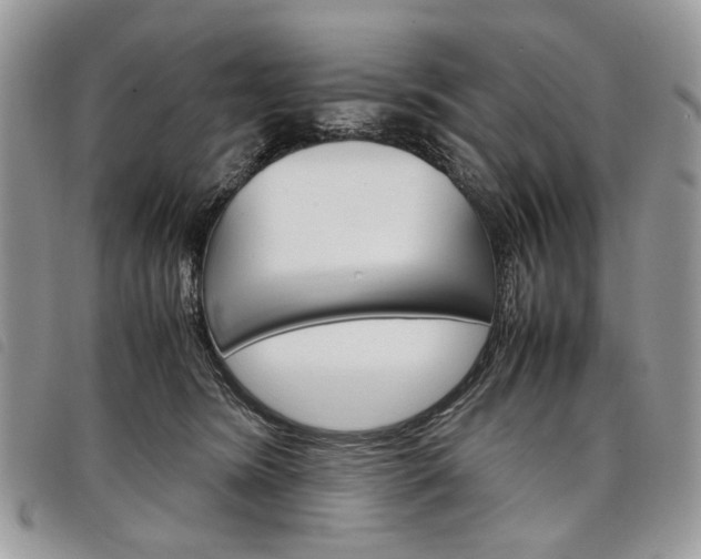 X0000098040420200804071446