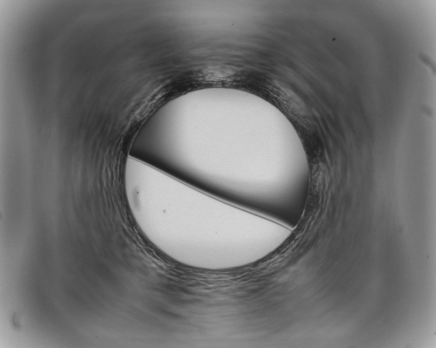 X0000098040421200804071446