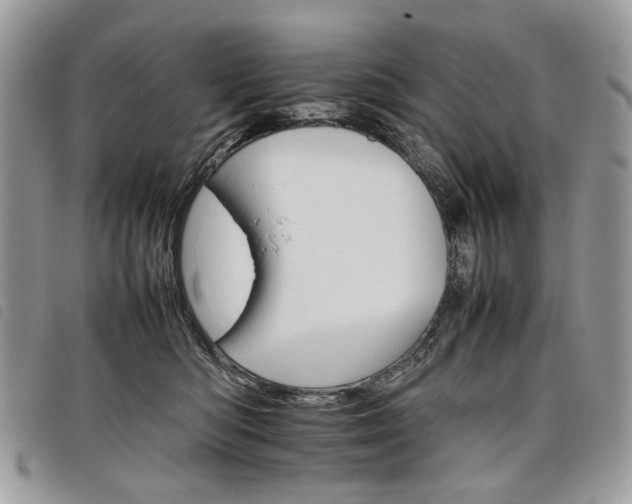 X0000098040422200804071446