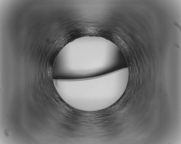 X0000098040425200804071446