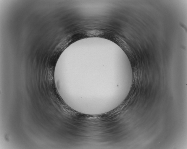 X0000098040426200804071446