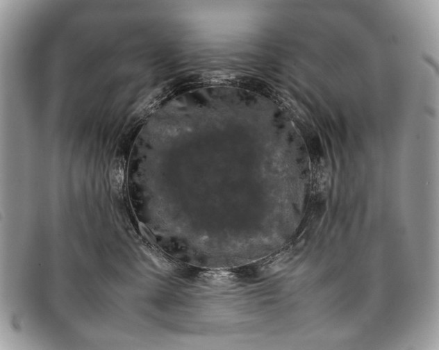 X0000098040427200804071446