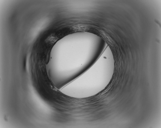 X0000098040429200804071446