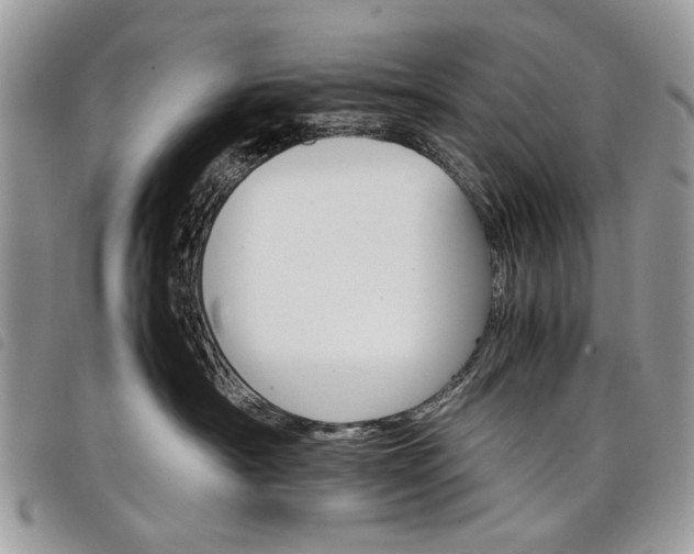 X0000098040430200804071446