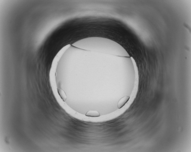 X0000098040431200804071446