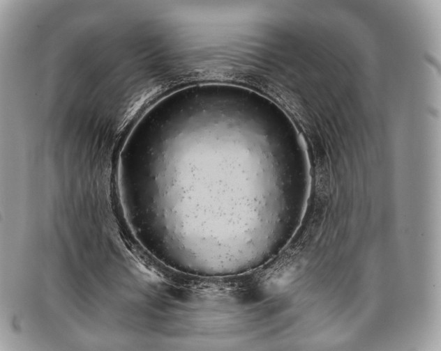 X0000098040434200804071445