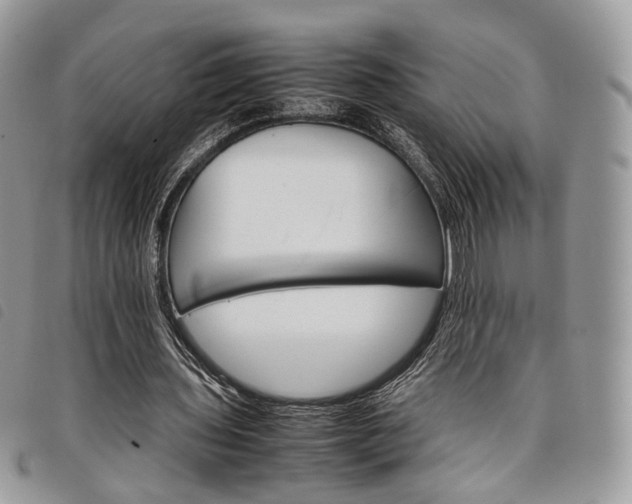 X0000098040435200804071445