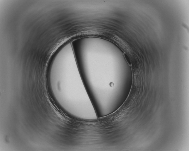 X0000098040436200804071445