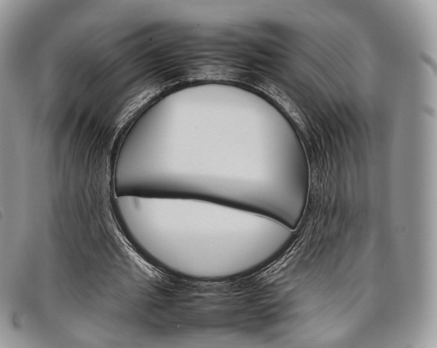 X0000098040437200804071445