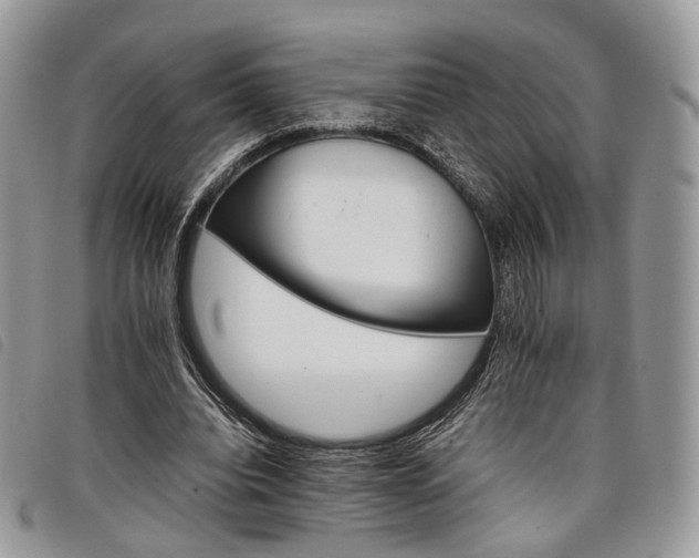 X0000098040440200804071445