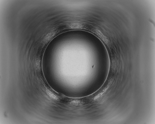 X0000098040441200804071445