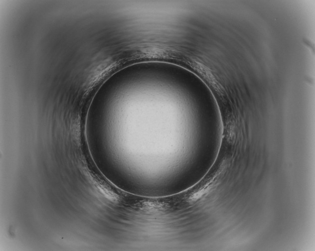 X0000098040442200804071445