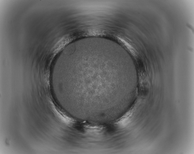 X0000098040443200804071445