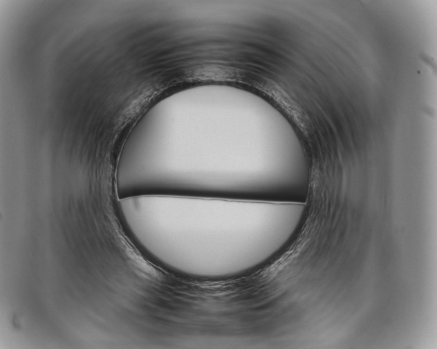 X0000098040445200804071445