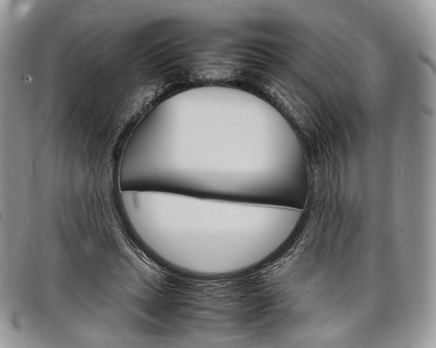 X0000098040447200804071445