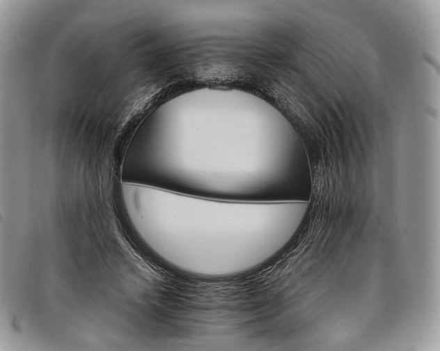 X0000098040448200804071445