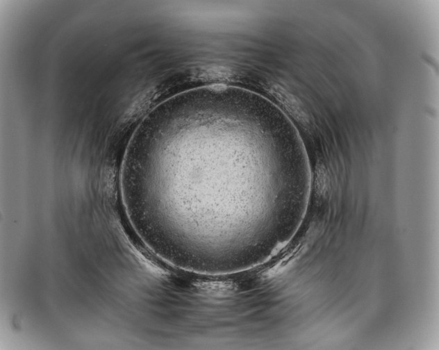 X0000098040449200804071445